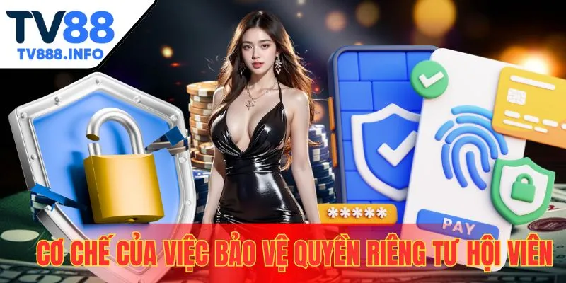 Cơ chế bảo vệ quyền riêng tư trong chính sách bảo mật