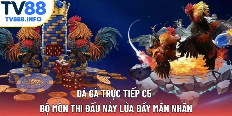 Đá Gà Trực Tiếp C5 - Bộ Môn Thi Đấu Nảy Lửa Đầy Mãn Nhãn