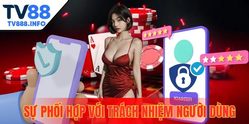 Sự phối hợp trách nhiệm của member trong chính sách bảo mật